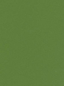 Lamicolor 1046/L Зеленая трава гл. 3050х1300х0,7мм (A)