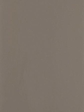 Lamicolor 1038 Серый муссон plamky terrae  3050х1300х0,7мм  EXPRESS