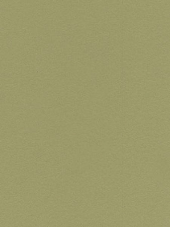 Lamicolor 1143/L Зеленные саванны  гл. 3050х1300х0,7мм (A)